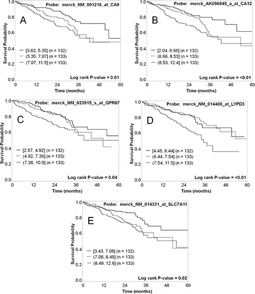 Representative Kaplan&#x2013;Meier survival curves for lung cancer markers using mRNA expression data analyzed as tertiles.