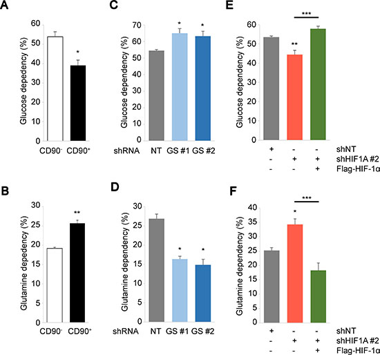 Biphasic regulation of cellular metabolism driven by GS and HIF-1&#x03B1;.