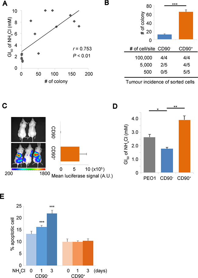 Ammonia tolerance enhances putative tumor initiation.