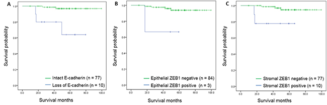 Kaplan-Meier survival curves for disease-specific survival according to immunohistochemical markers.