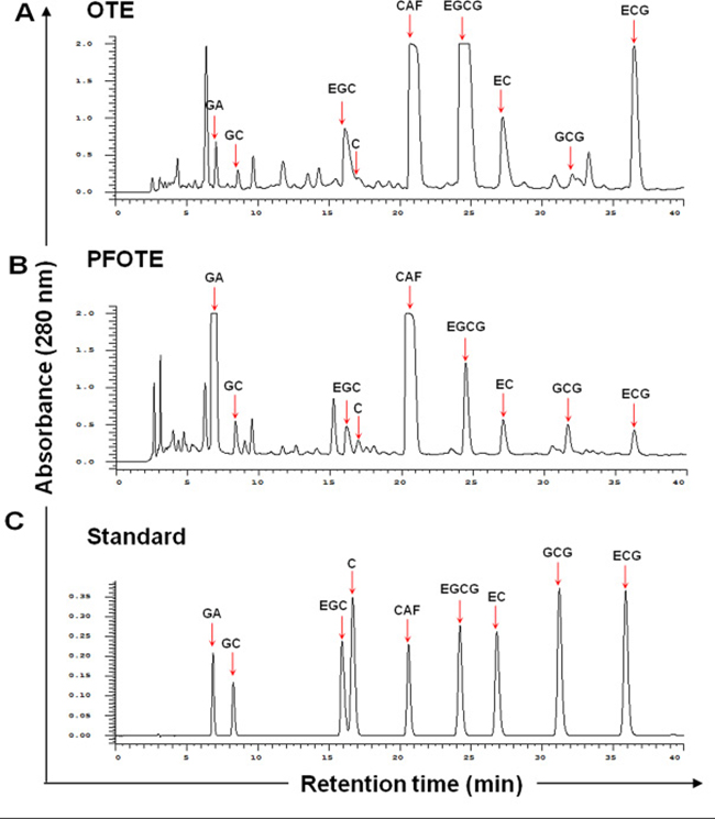 Comparison of polyphenol profile of oolong tea extract (OTE) before and after A. sojae-mediated fermentation.