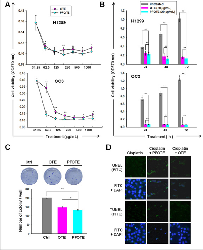 Anti-cancer effect of OTE and PFOTE on OC3 and H1299 cell lines.