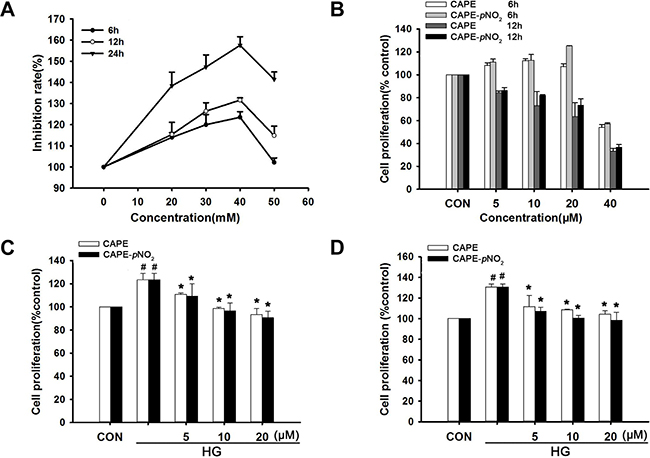 CAPE and CAPE-pNO2 suppressed HG-induced GMC proliferation.