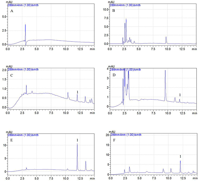 Representative HPLC chromatograms: A, blank plasma sample; B, blank BAL sample; C, plasma sample at the LLOQ of 0.01 &#x03BC;g/ml (5X concentration); D, BAL sample at the LLOQ of 0.05 &#x03BC;g/ml; E, plasma sample after i.m. administration of tildipirosin at the point of 15 min; F, BAL sample after i.m. administration of tildipirosin at the point of 1 h; 1, tildipirosin at the peak time of 12.2 min.