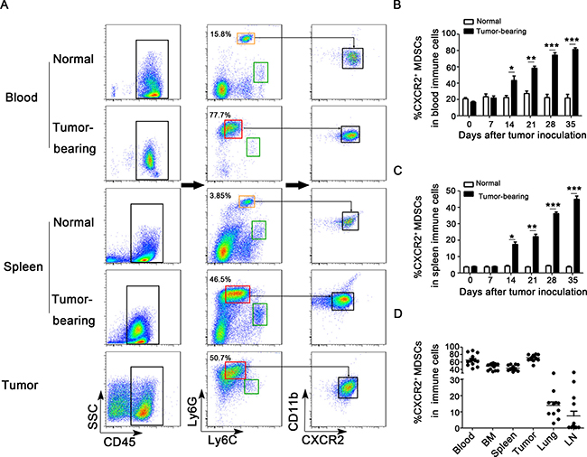 CXCR2+ MDSCs are predominately expanded and recruited during breast cancer progression.