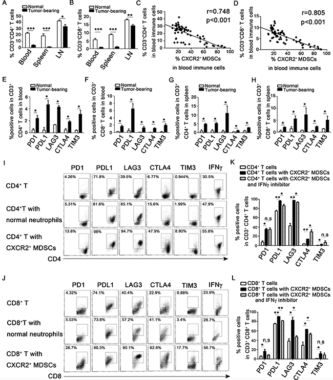 CXCR2+ MDSCs induce activated T cells exhaustion.