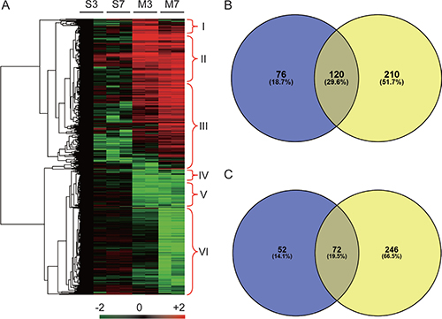 Heat map and Venn diagram of significantly differential abundant proteins.