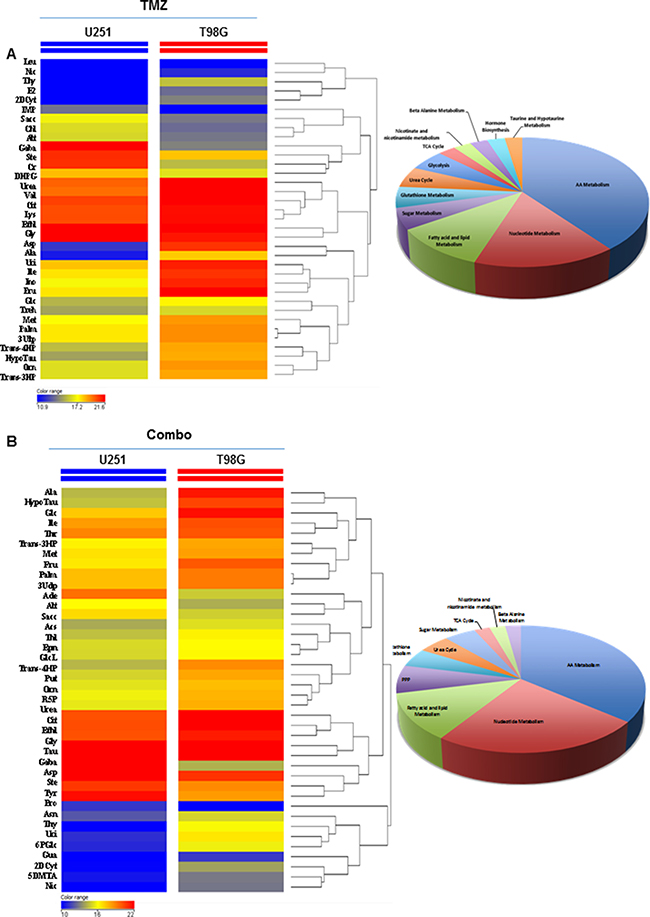 Comparison of drug metabolic effects in in vivo glioma models.