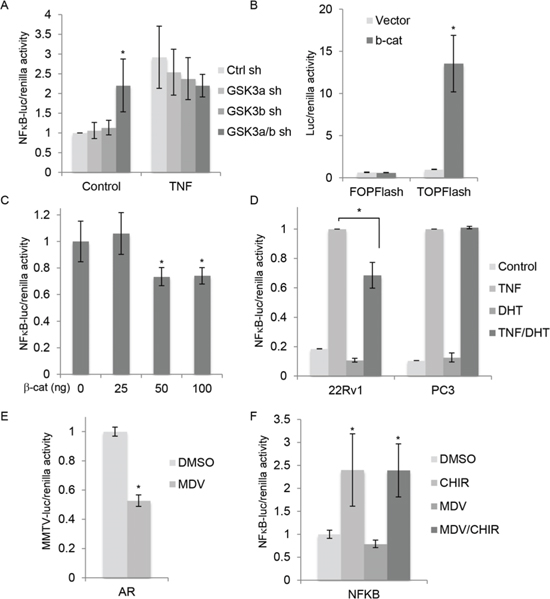 FIGURE 2: GSK-3 inhibition activates NF&#x03BA;B independently of &#x03B2;-catenin and AR.