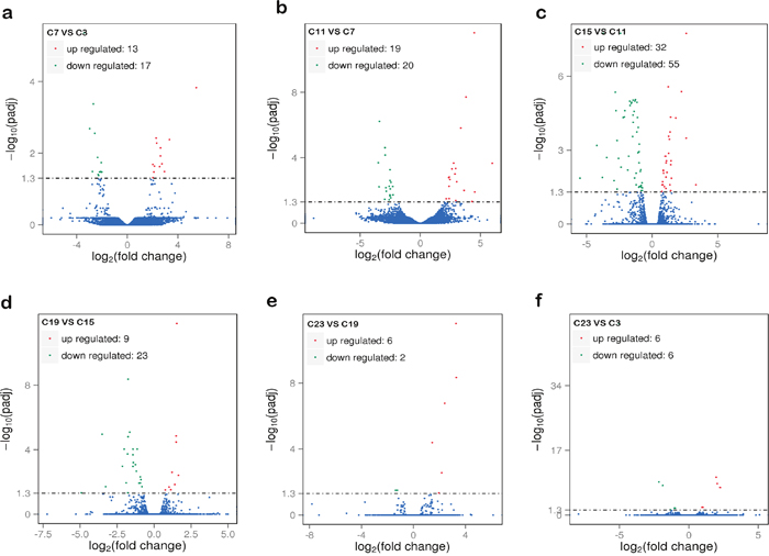 The overall distribution of differentially expressed genes in samples.