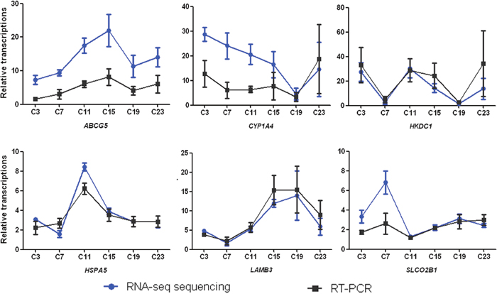 Diurnally regulated transcripts of liver targeted for nutrient metabolism.