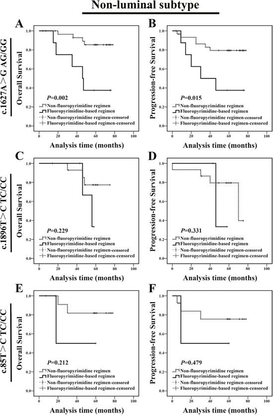 Non-luminal c.1627A&#x003E;G AG/GG genotype carriers treated with fluoropyrimidine-based regimen exhibited a poor prognosis.