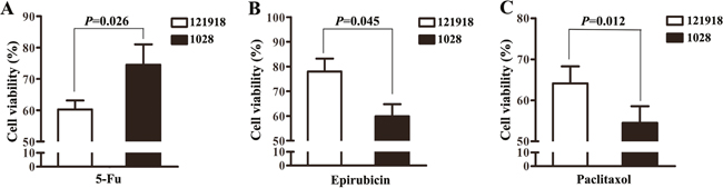 The effect of 5-Fu, epirubicin and paclitaxol on the growth of non-luminal breast cancer derived cells.
