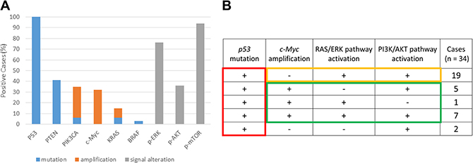 Mutation, amplification, and pathway activation status of tumor samples from patients with high-grade serous ovarian carcinoma (HGSOC).
