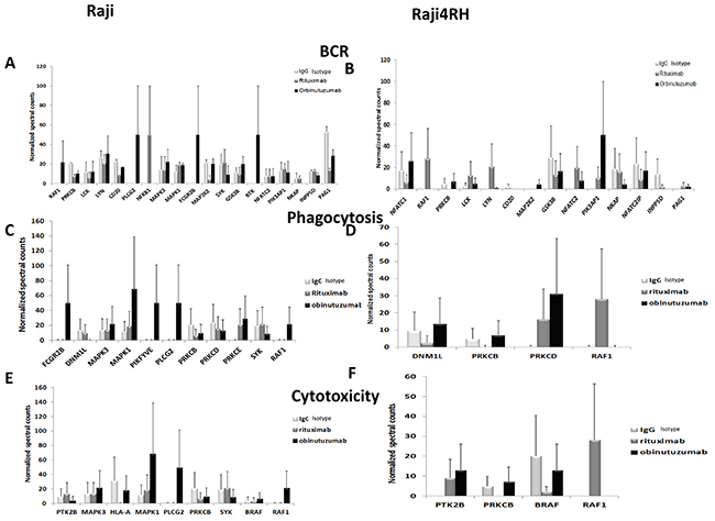 Phosphoproteomic analysis identifies proteins in BCR, phagocytosis and cytotoxicity pathways that are differentially altered after obinutuzumab vs. RTX.