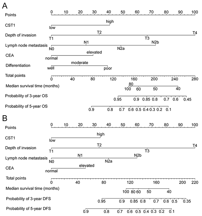 Nomogram for predicting overall survival (OS) and disease-free survival (DFS): Locate the grade of the patient on the grade axis and then draw a straight line upward to the Points axis to determine how many points toward survival the patient receives for her/his grade.