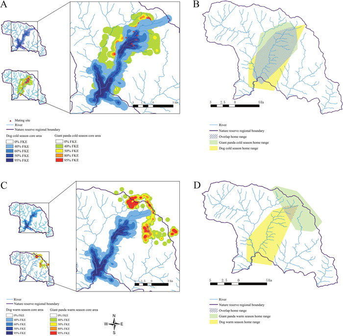 Home range analysis of domestic dogs and wild giant pandas.