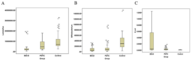 The number of Bifidobacterium, lactobacillus and Escherichia coli in rats from three groups.