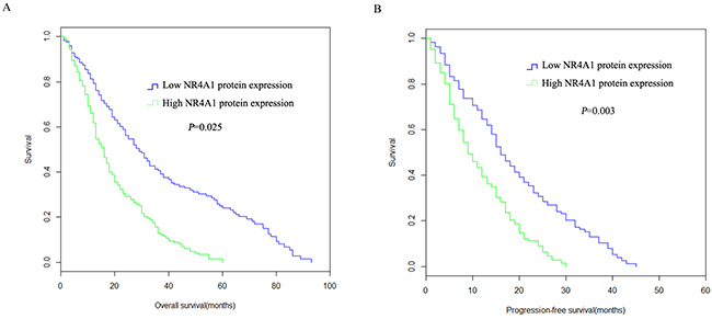Overall survival probabilities and progression-free survival probabilities of NSCLC patients with NR4A1 protein expression.