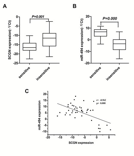 Blood SCGN acts as a predictive marker of chemosensitivity in SCLC and inversely correlates with miR-494.