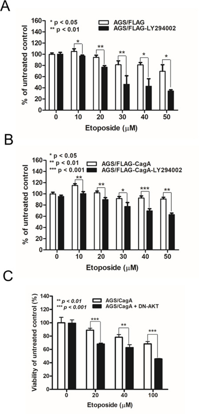 LY294002 and dominant-negative Akt mutant alter the sensitivity of CagA-expressing AGS cells to etoposide.