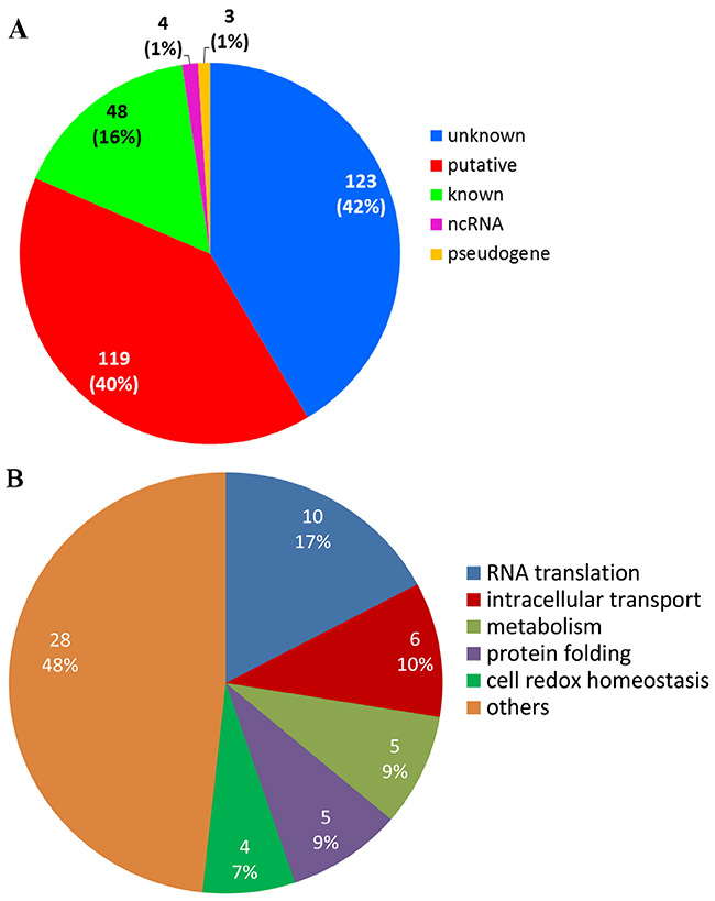 PfNF-YB binds to different gene functions in P. falciparum.