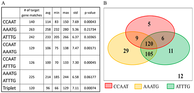 Motif matching in the putative promoter region of PfNF-YB target genes.