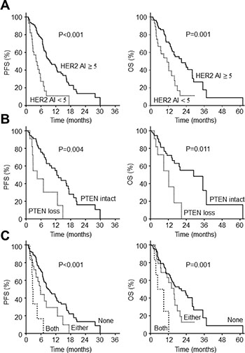 Survival outcomes according to molecular biomarkers in HER2+ gastric cancer.