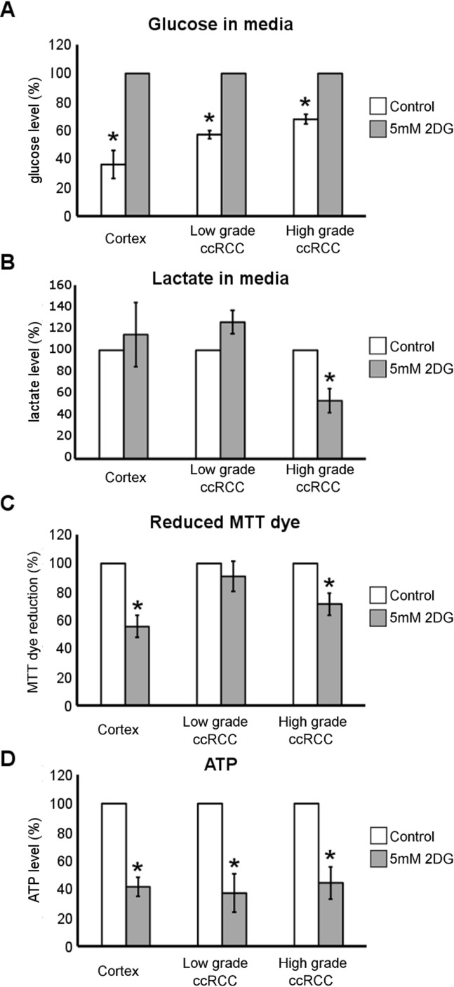 Metabolic effect of 2DG treatment in low- and high-grade ccRCC and normal cortex primary cultures.