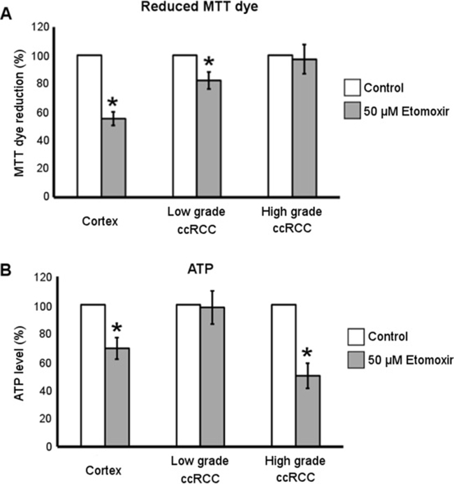 Metabolic effect of Etomoxir treatment in low- and high-grade ccRCC and normal cortex primary cultures.