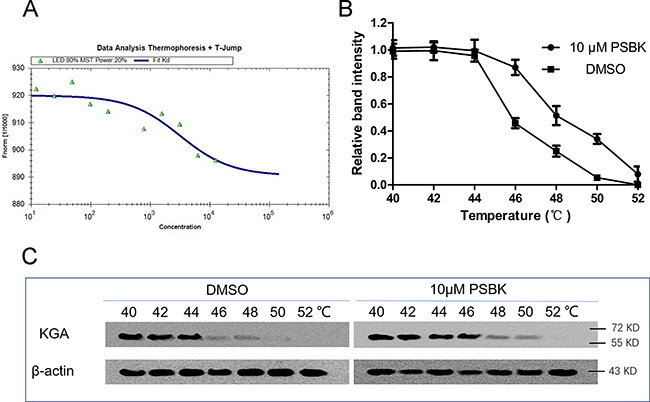 Physapubescin