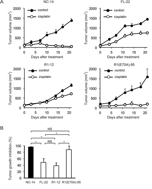 Fig.5: The calcium-binding site of the annexin repeat is required for platinum drug resistance