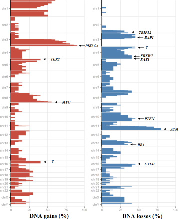 Somatic copy number alterations in the series of 20 ASCCs.