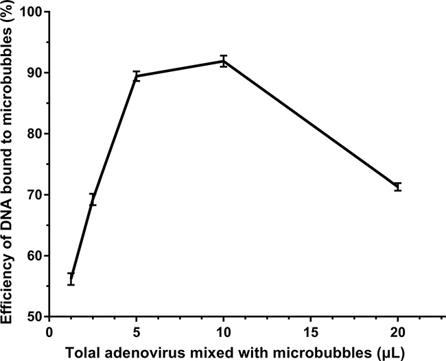 RT-PCR