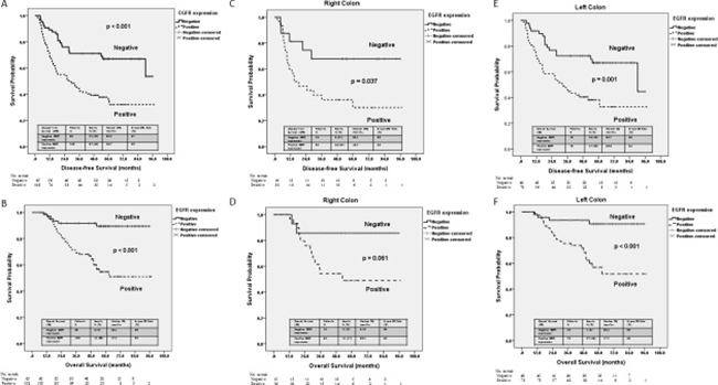 Kaplan&#x2013;Meier survival curve for patients with stage III colorectal cancer stratified by EGFR expression and tumor location.