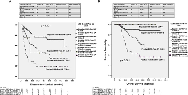 Kaplan&#x2013;Meier survival curve for patients with stage III colorectal cancer stratified by both EGFR expression and the postoperative serum CEA level.