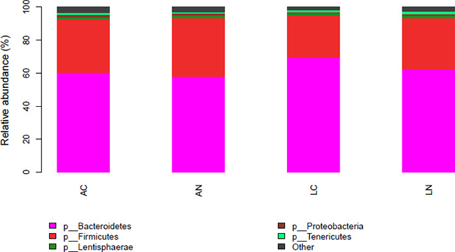 Effect of dietary treatments on phylum relative abundance of the ruminal bacterial community.