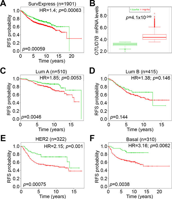 OTUD7B upregulation is associated with poor recurrence-free survival rates in breast cancer patients.