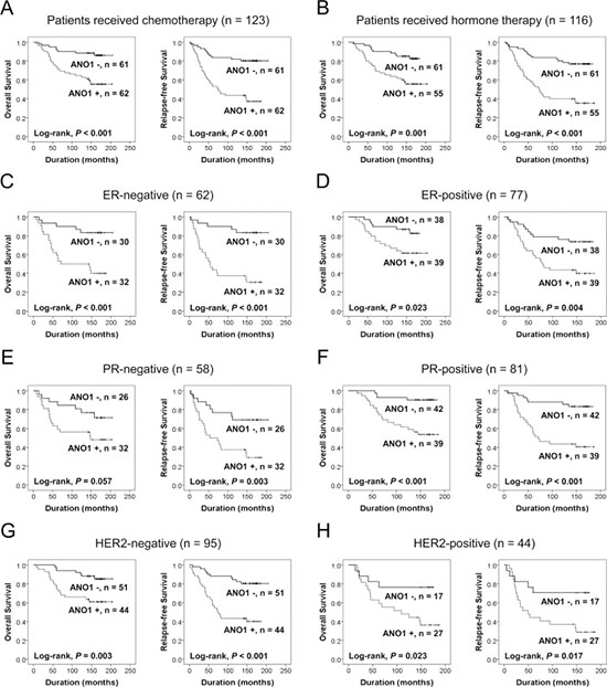 Survival analysis for the expression of ANO1 in subgroups of breast carcinoma patients.