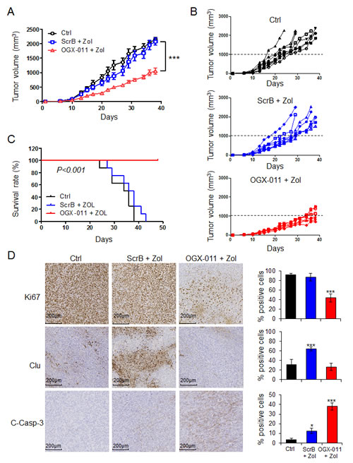 OGX-011 potentiates ZOL activity in MNNG/HOS osteosarcoma xenograft model.