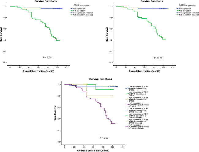 Kaplan&#x2013;Meier survival analysis of overall survival duration in 130 endometrial carcinoma patients according to PGK1 and GRP78 protein expression.