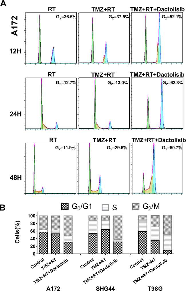 Cell-cycle arrest in glioma cells treated with TMZ, RT, and dactolisib in different time point.