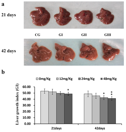 Changes of the liver (a) and changes of the growth index (GI, b) of liver at 21 and 42 days of experiment.