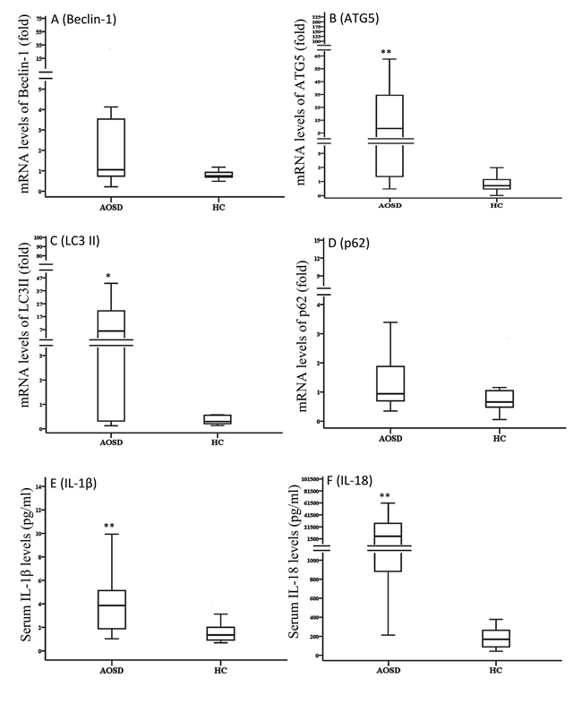 Comparisons of the mRNA expression levels of autophagy-related genes, including Beclin-1