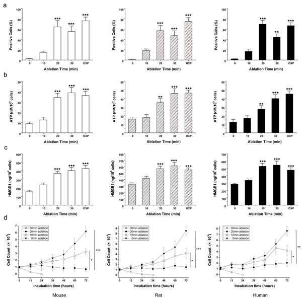 MWA induces a continuum of time-dependent cellular changes related to immunogenic cell death.