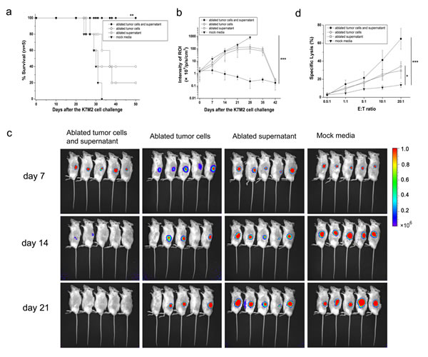 Complete protection of mice against lethal challenge with osteosarcoma cells.