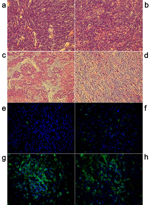 Figure 5: