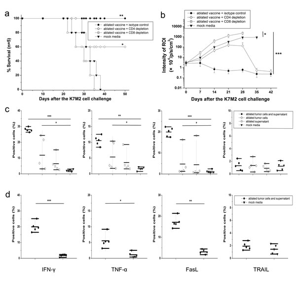 Mechanism of killing of osteosarcoma cells induced by vaccine-elicited CD8