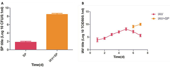 Figure 3: