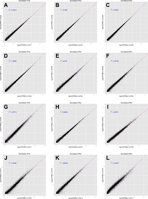 Correlation tests for the replicates.